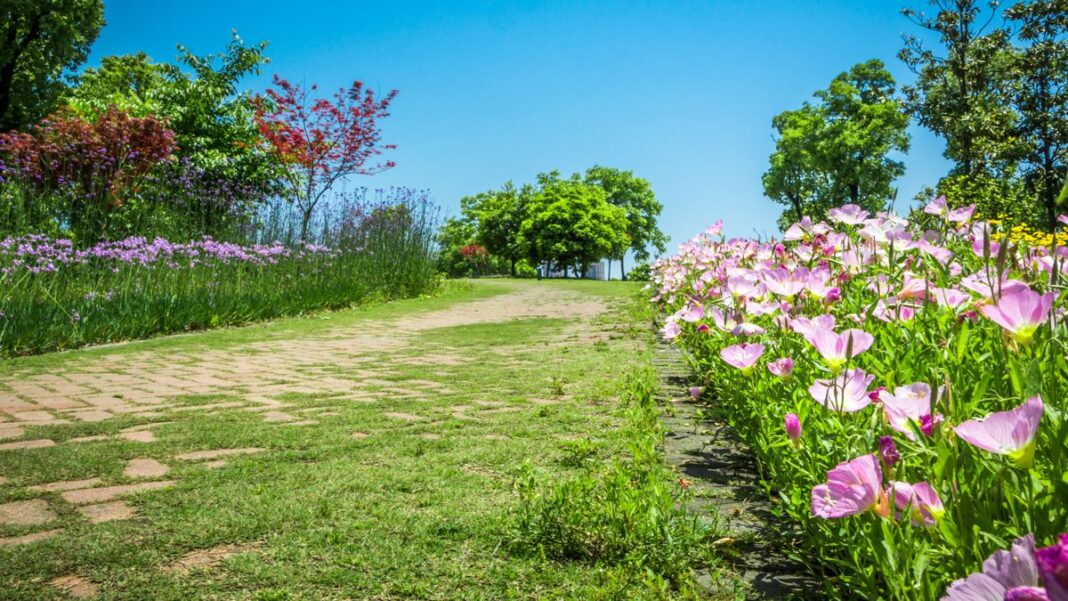  Cum va fi vremea în următoarele patru săptămâni