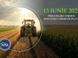 Cererile de plată și modificările la cerere se depun la APIA în perioada 3 martie - 13 iunie 2025