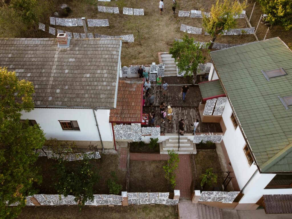 Cum un Sat din Dolj Devine Refugiu pentru Artiști