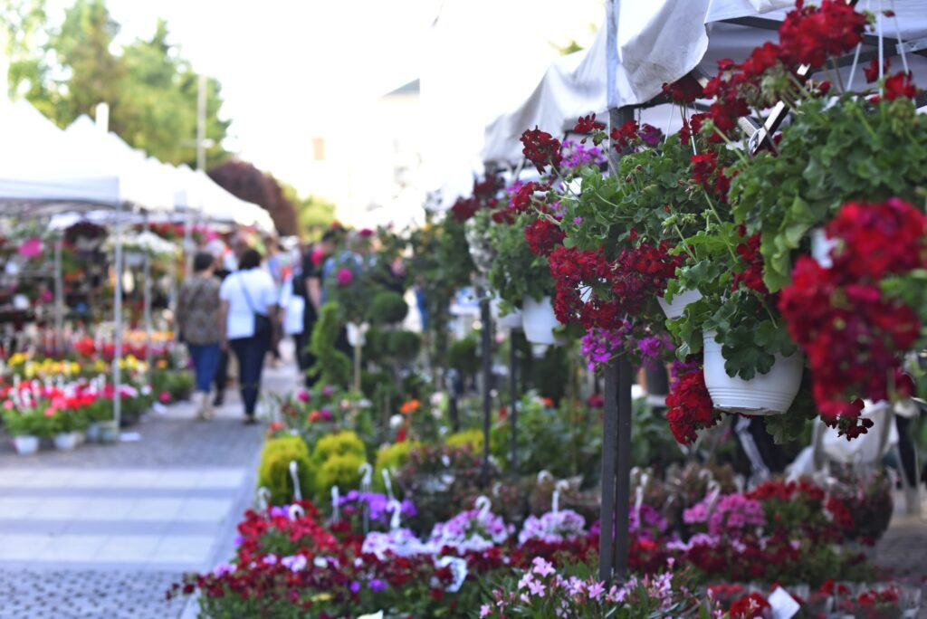 Înscrieri pentru „ExpoFlora Craiova 2025”