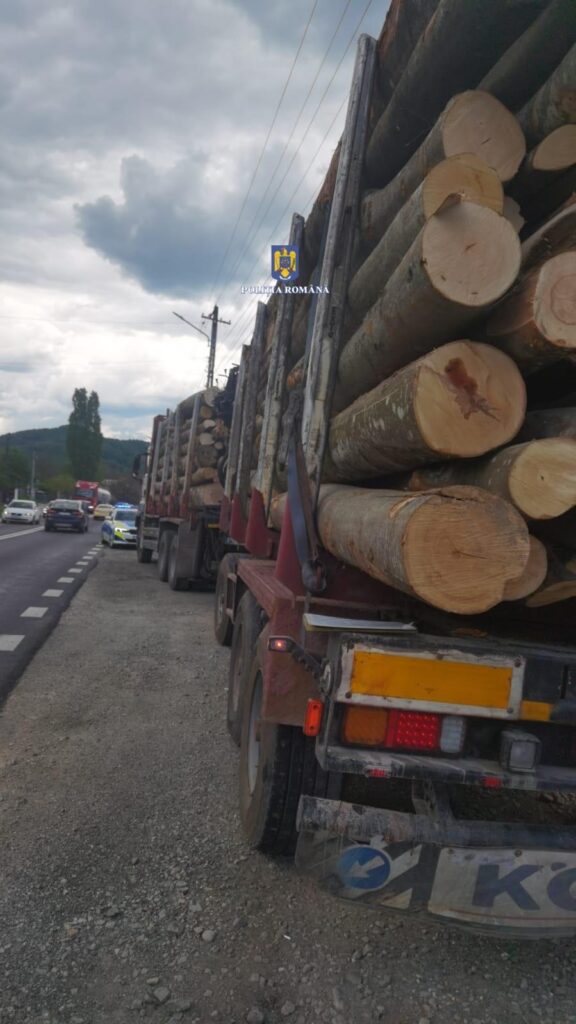 (VIDEO) Vâlcea: Transport de material lemnos depistat cu nereguli pe DN 7