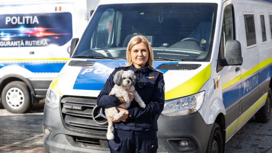 IPJ Dolj sprijină sterilizarea câinilor fără stăpân