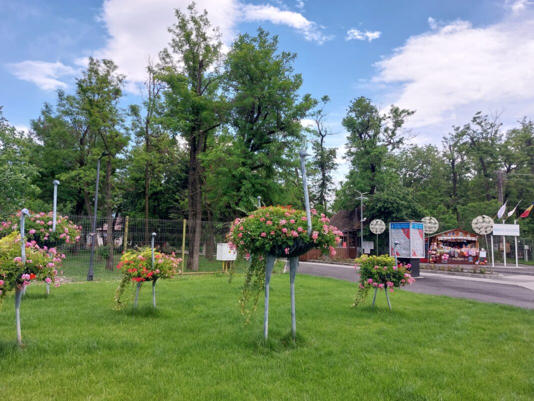 Pe 1 iunie, de Ziua Copilului, Grădina Zoologică din Ostroveni își așteaptă vizitatorii, mici și mari