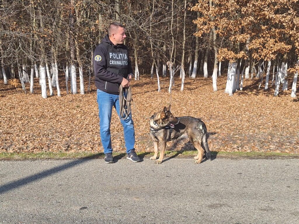 IPJ Gorj are în dotare 8 câini polițiști, specializați în căutare, salvare și detectare stupefiante