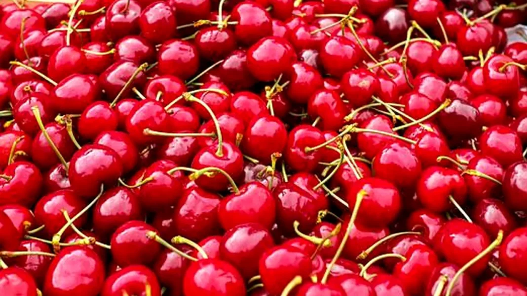 Cireşele, cocktail de vitamine, minerale şi antioxidanţi