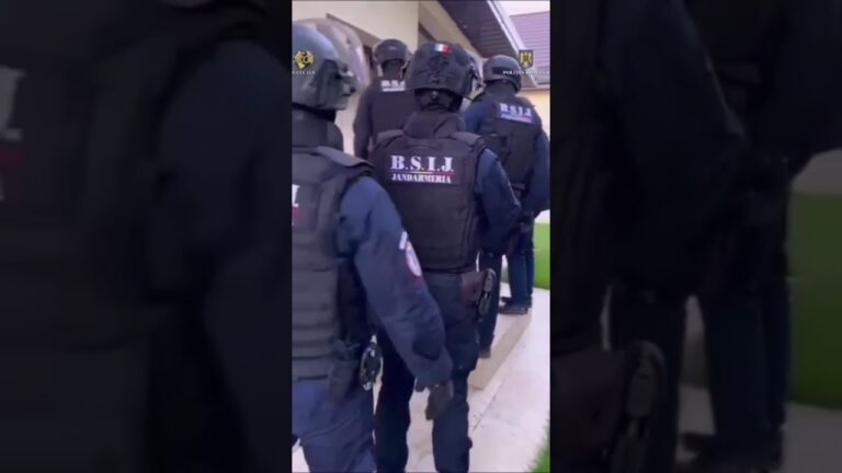 (VIDEO) Percheziții în 7 județe și prejudiciu de peste 7 milioane de lei