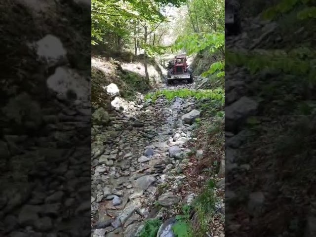 Gorj: Amendă de 10.000 de lei pentru transport ilegal de bușteni prin albia unui pârâu de munte