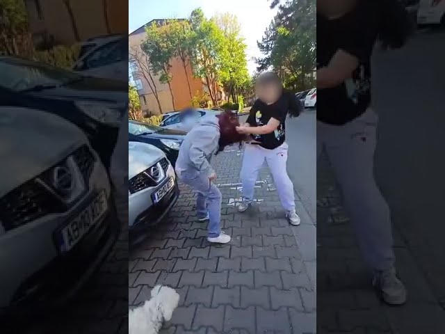 Adolescentă anchetată după ce a bătut cu pumnii și picioarele o fată care își plimba cățelul și apoi s-a lăudat pe facebook