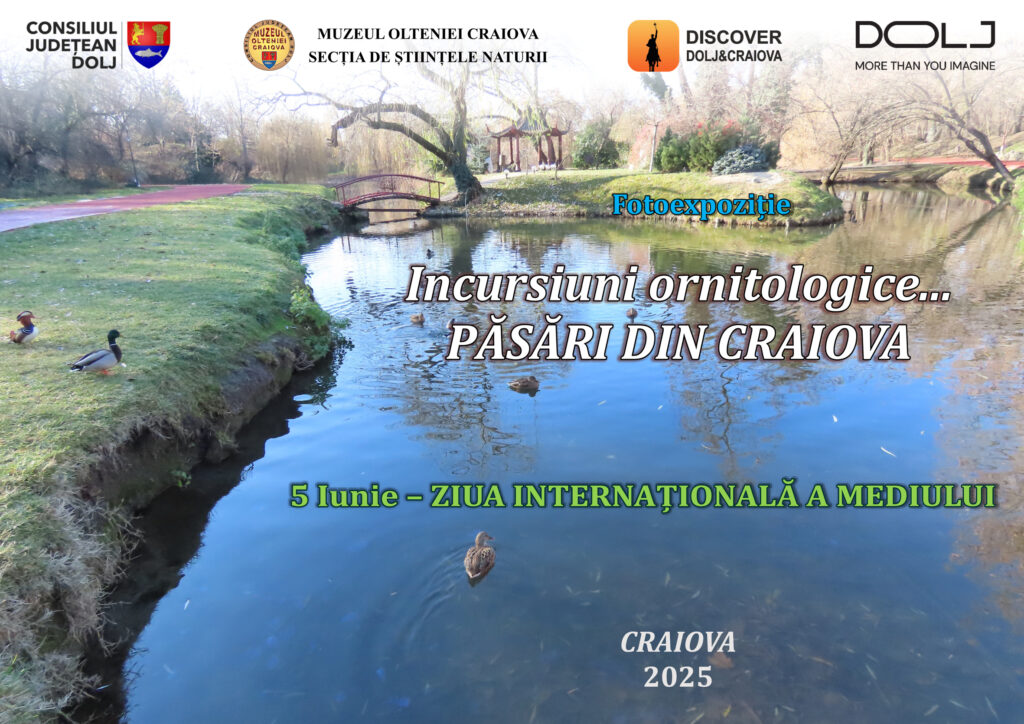 Fotoexpoziția „Incursiuni ornitologice… păsări din Craiova“