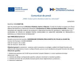 PNRR: Fonduri pentru România modernă și reformată!