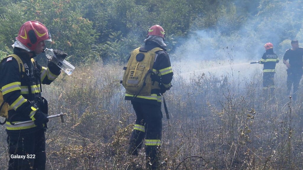 Incendiu de vegetaţie uscată la Podari