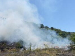 Incendiu în apropierea unor gospodării din Hinova