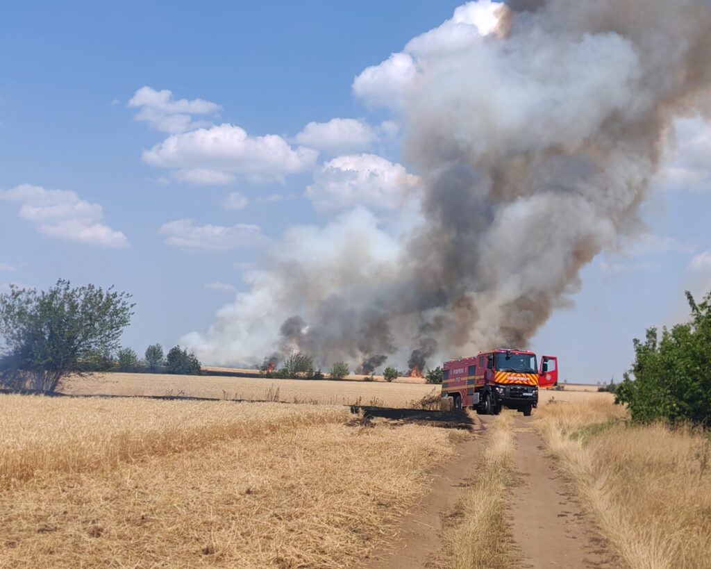 45 Hectare de Grâu Distruse în Flăcările din Basarabi