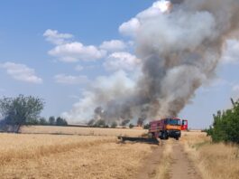 Incendiu de vegetație uscată și cultură de grâu din Basarabi