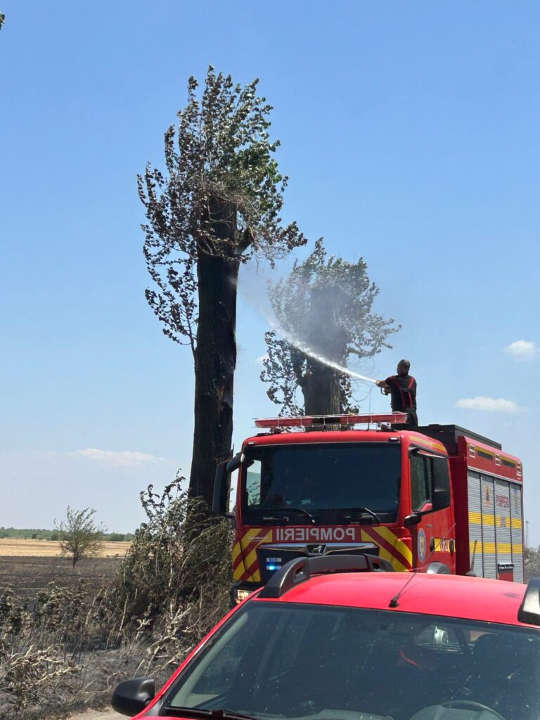 (VIDEO) Dolj: Incendiu la Ciupercenii Vechi. Ard aproximativ 30 de hectare de grâu și vegetația uscată