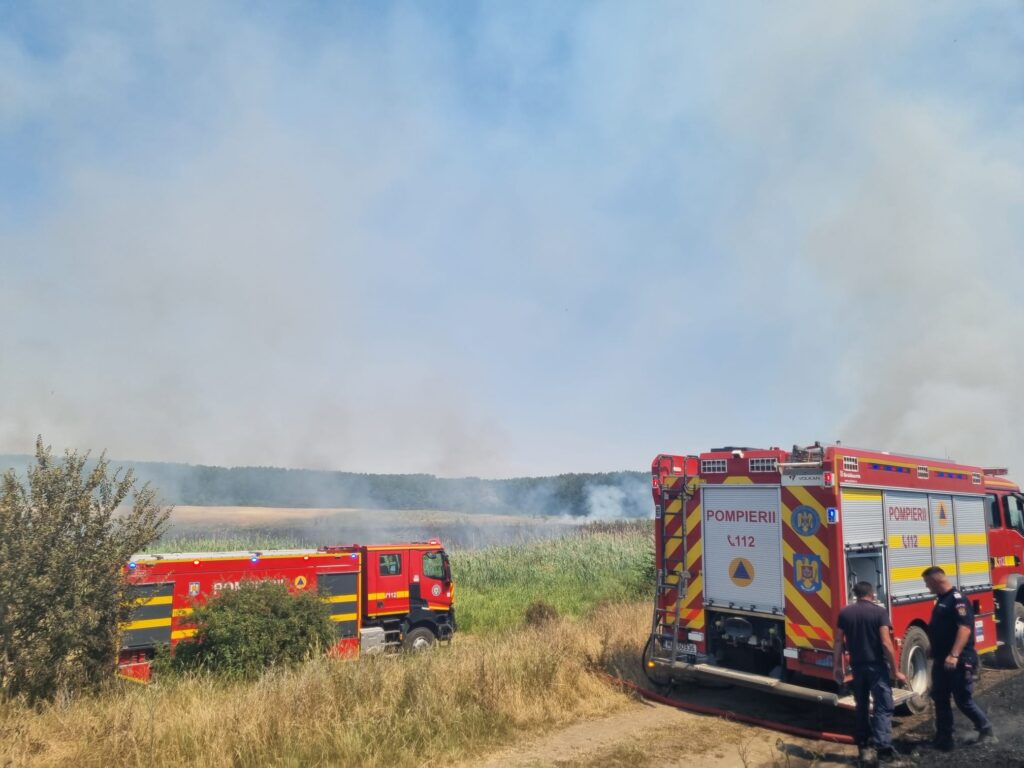 (VIDEO) Incendiu de vegetaţie uscată la Podari