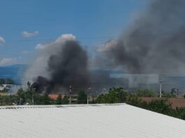 Incendiu de vegetație uscată la Târgu Jiu