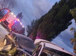 Un şofer şi-a pierdut viaţa după ce a intrat cu autoplatforma într-un copac