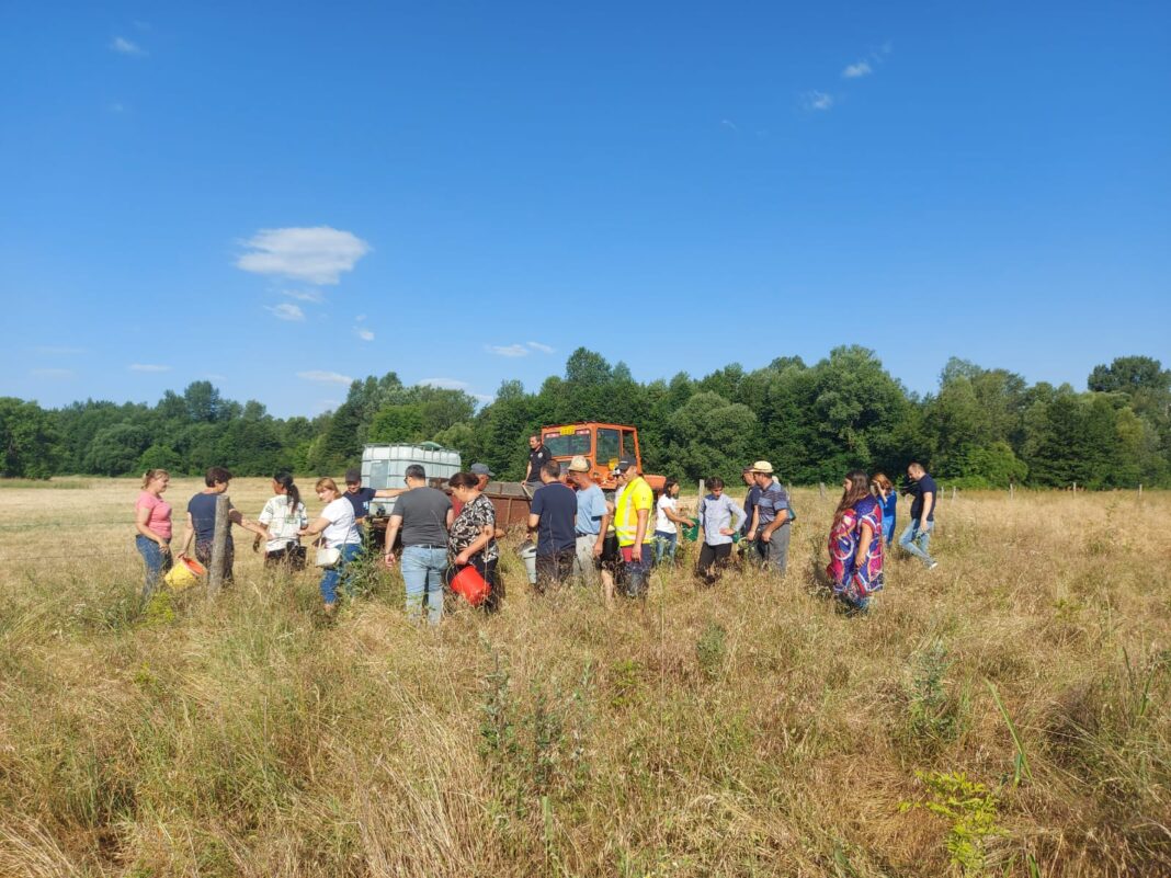 Comunitatea din Bengești-Ciocadia s-a mobilizat să salveze plantațiile amenințate de secetă