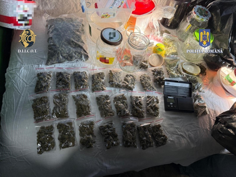  Plantatie de Canabis și Arestări într-un Caz de Trafic de Droguri de Risc
