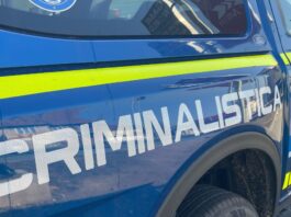 Un adolescent de 14 ani ar fi ucis un cioban din Sibiu