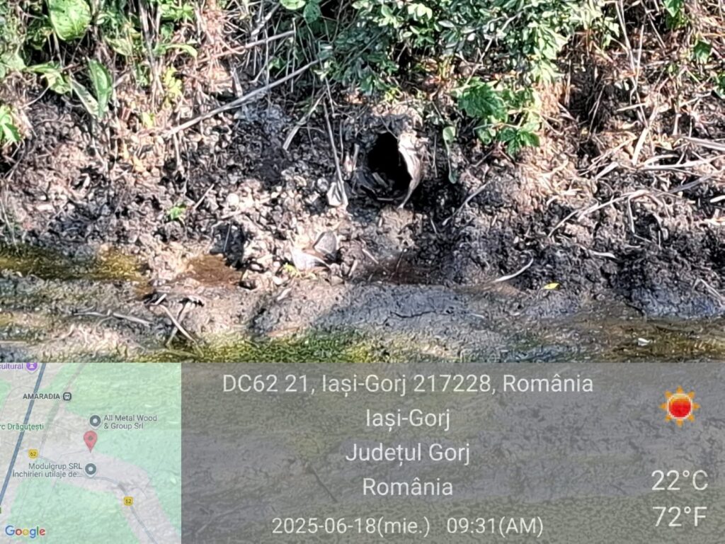 Gorj: Abator din Drăguțești, amendat cu 35.000 de lei pentru poluarea unui curs de apă