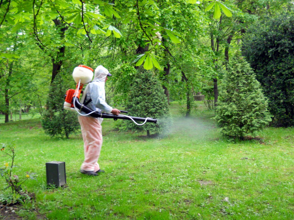 Lupta împotriva insectelor începe în Târgu Jiu cu un buget de peste 220.000 de lei
