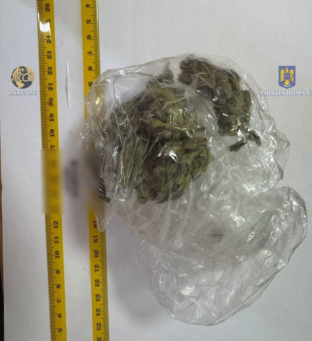 Craiovean reţinut pentru trafic de droguri de risc şi mare risc