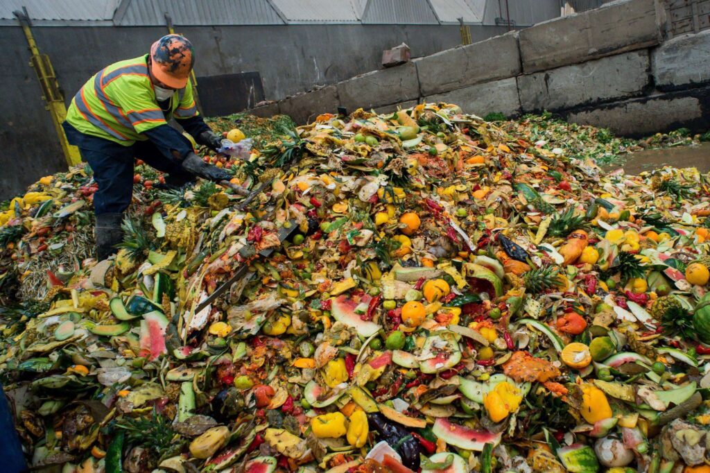 Un român aruncă la gunoi aproximativ 70 de kilograme de mâncare pe an
