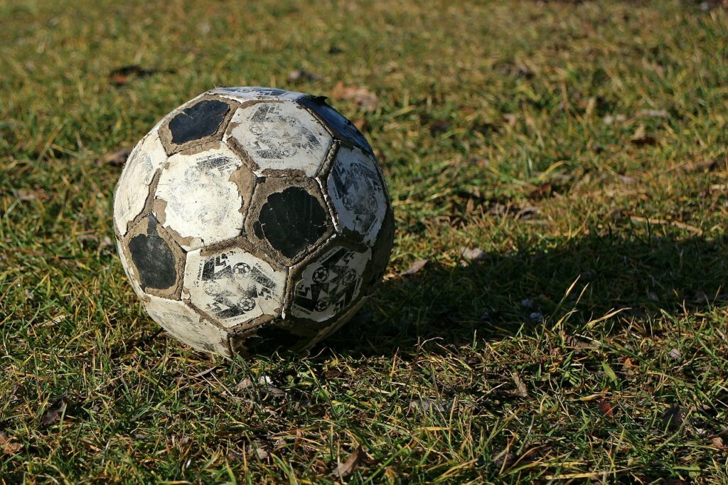 Un cuplu britanic s-a făcut de bani după ce 170 de mingi de fotbal au ajuns în grădina lor