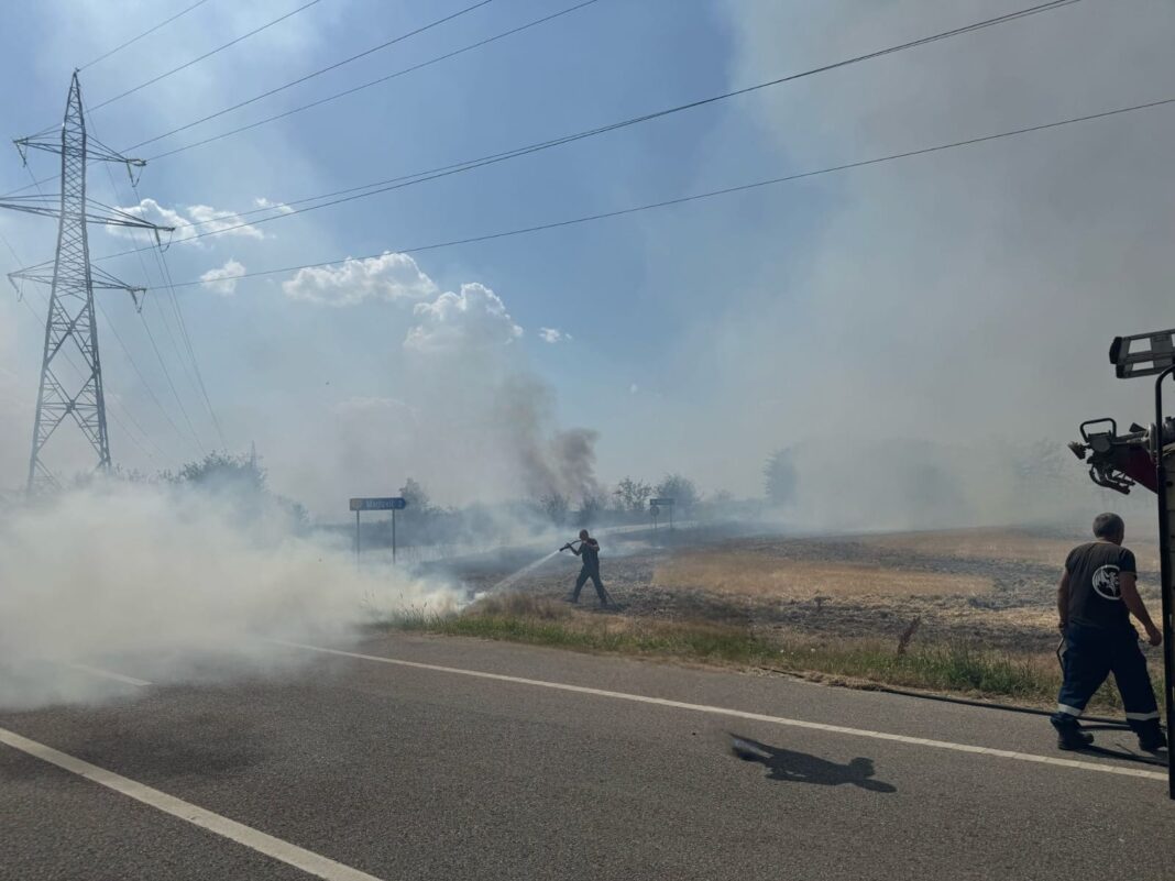 Incendiu de vegetație uscată între Făcăi și Malu Mare