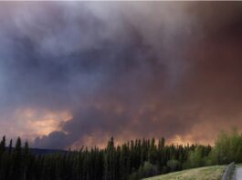 Fumul incendiilor de vegetație deasupra autostrăzii 97, la nord de râul Buckinghorse, lângă Trutch, Columbia Britanică, Canada