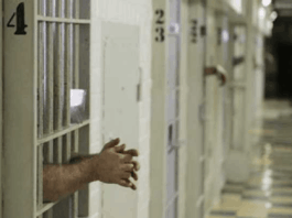 Patru bărbați încarcerați în Penitenciarul Târgu Jiu pentru infracțiuni la regimul stupefiantelor