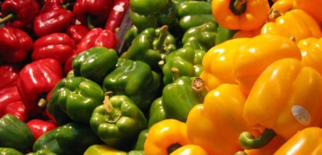 Ardeiul gras, fabrica de vitamine