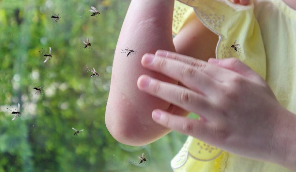 Cum să Evităm Înțepăturile de Insecte la Plajă în Sezonul Cald