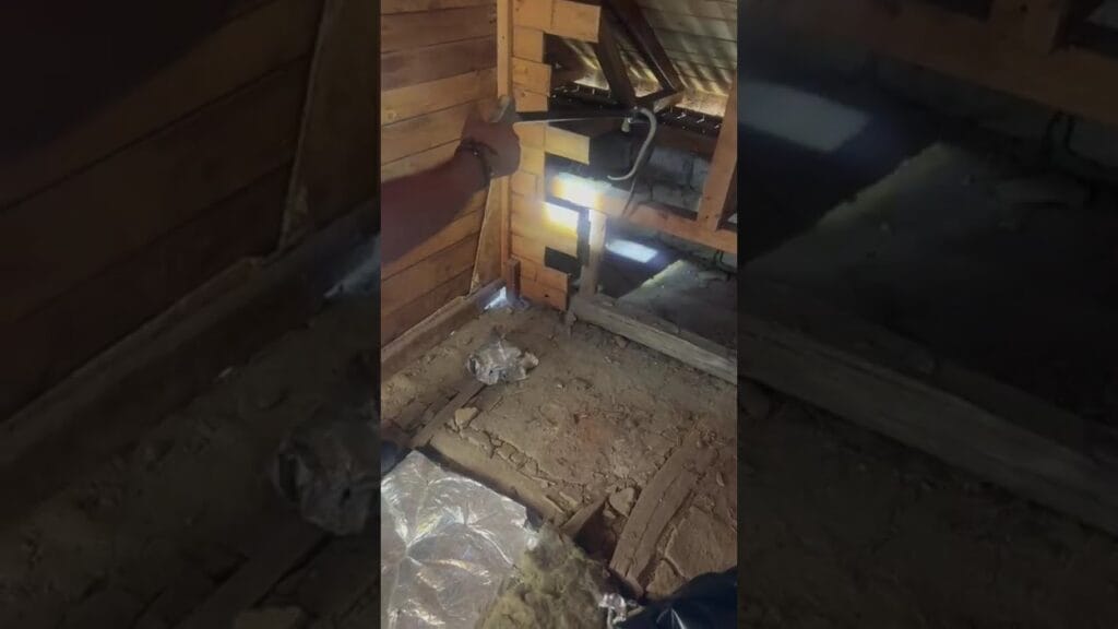 (VIDEO) Gorj: Apel la 112 care semnala prezența șarpe în Bărbătești