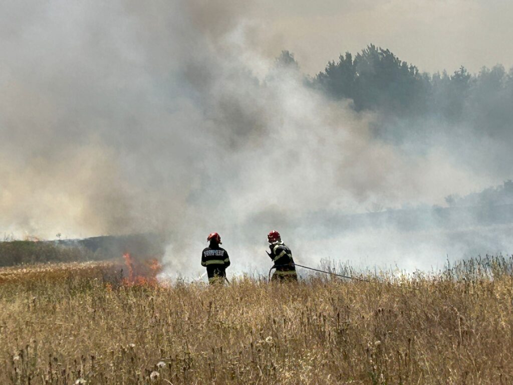 Pompierii și voluntarii se luptă să stingă un incendiu de vegetație la Maglavit. Focul, intensificat de vânt