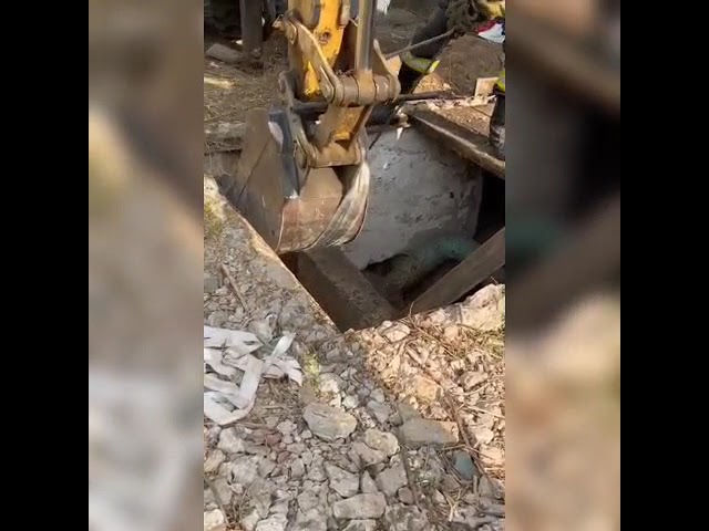 Cal salvat de pompieri dintr-un canal adânc din Balș după o misiune de cinci ore