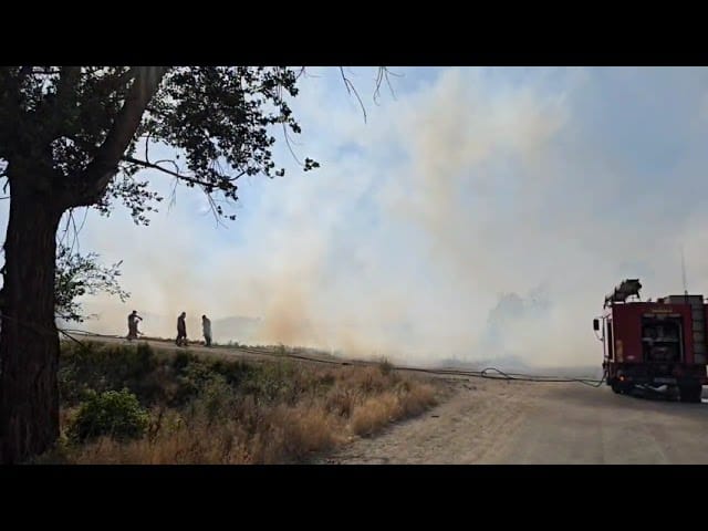 (VIDEO) Incendiu puternic de vegetaţie în Mofleni