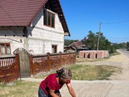 Campanie de sterilizare la Negomir, organizată de Consiliul Județean Gorj