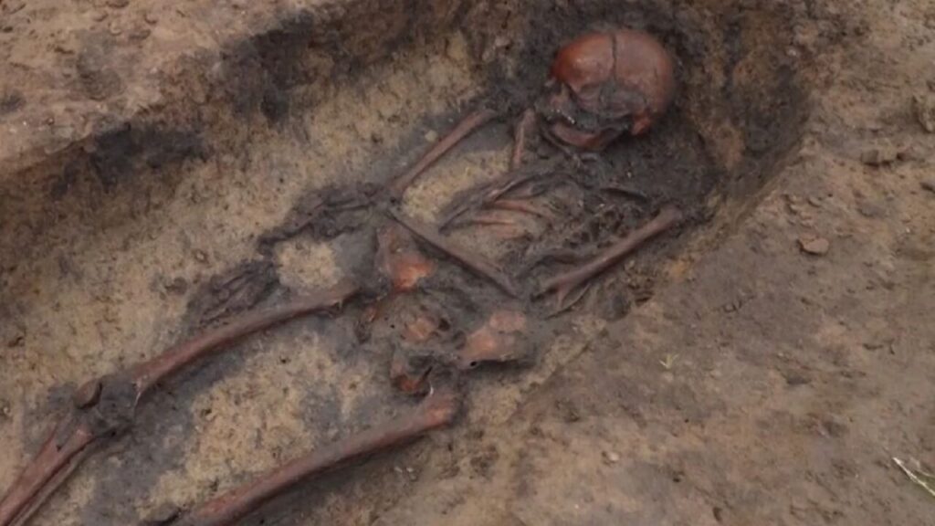 Descoperire impresionantă în Norvegia: o femeie vikingă, înmormântată alături de câinele ei