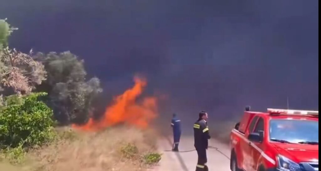 Zeci de Incendii de Vegetație în Ultimele 24 de Ore