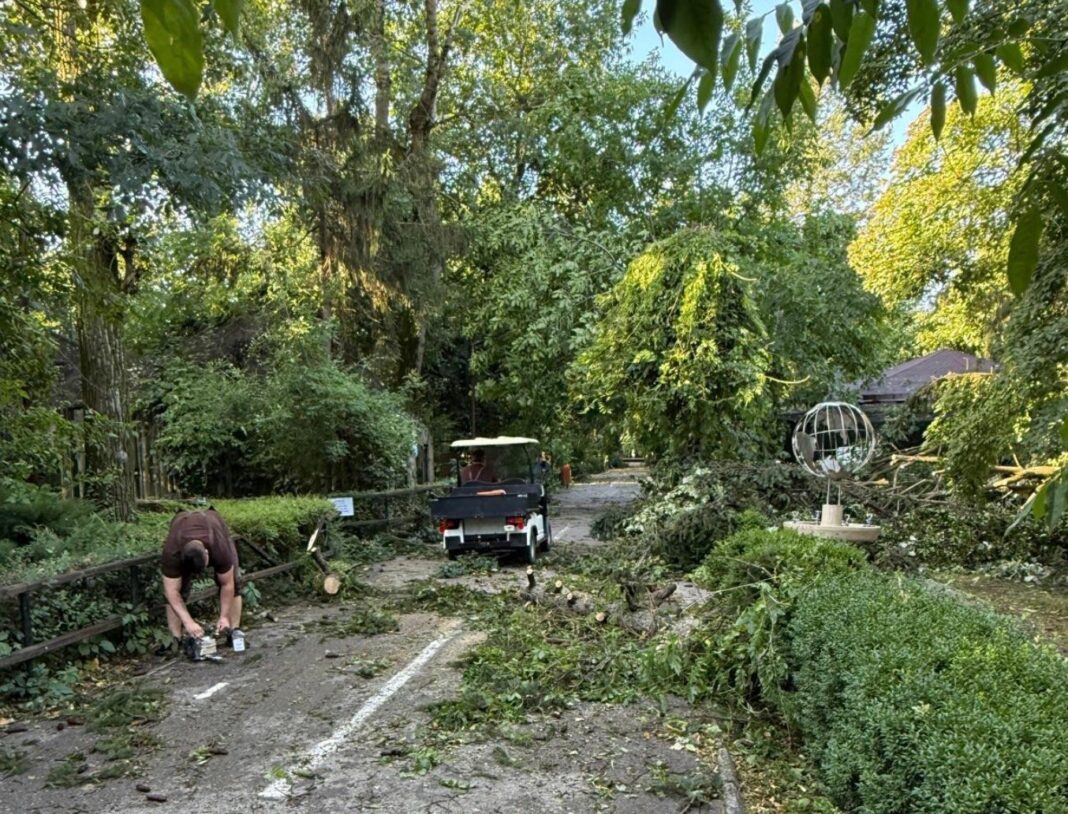 Grădina Zoologică Bucureşti se închide temporar, din cauza furtunii de joi 