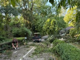Grădina Zoologică Bucureşti se închide temporar, din cauza furtunii de joi 