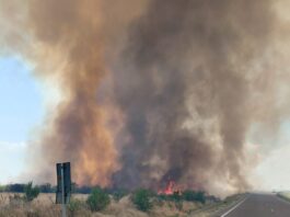 Circulație îngreunată în zona PTF Calafat din cauza unui incendiu