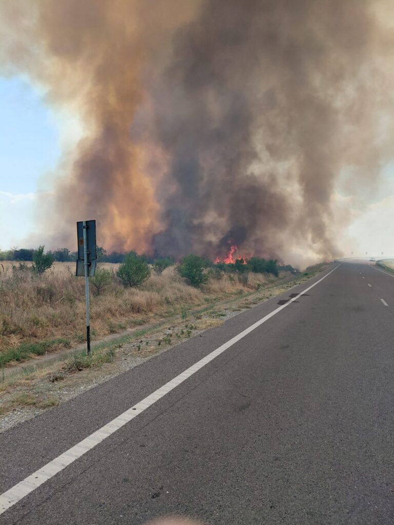 (VIDEO) Circulație îngreunată în zona PTF Calafat din cauza unui incendiu