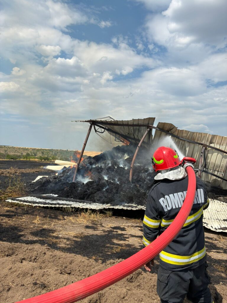 (VIDEO) Intervenții de amploare ale ISU „Oltenia” Dolj: 52 de misiuni în doar 24 de ore, peste 500 ha afectate de incendii