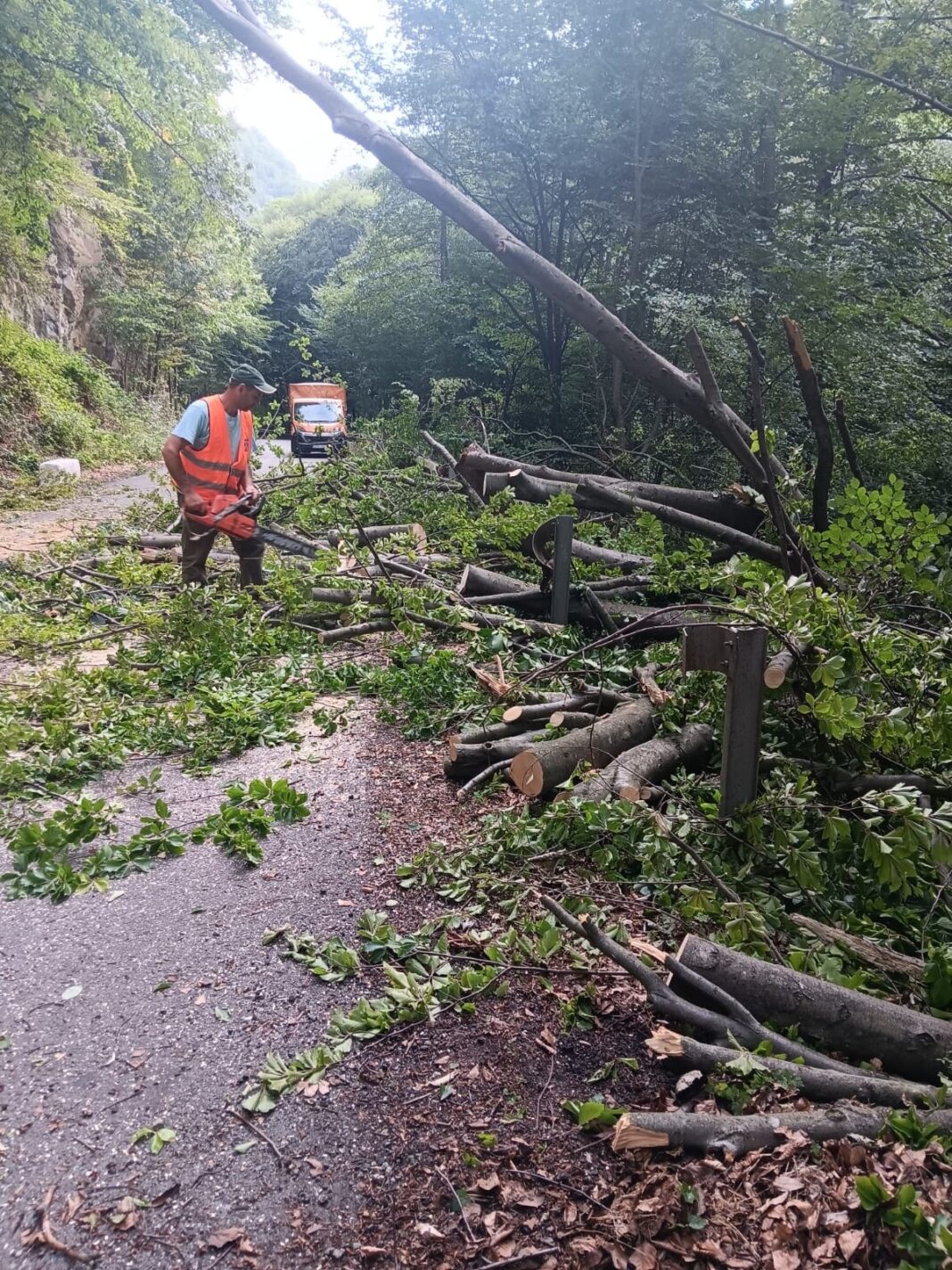 Mehedinți: Carosabil blocat de copaci rupți de furtună, la Godeanu