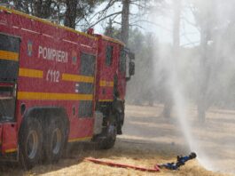 Pompierii din Mehedinți luptă cu incendiile de vegetație