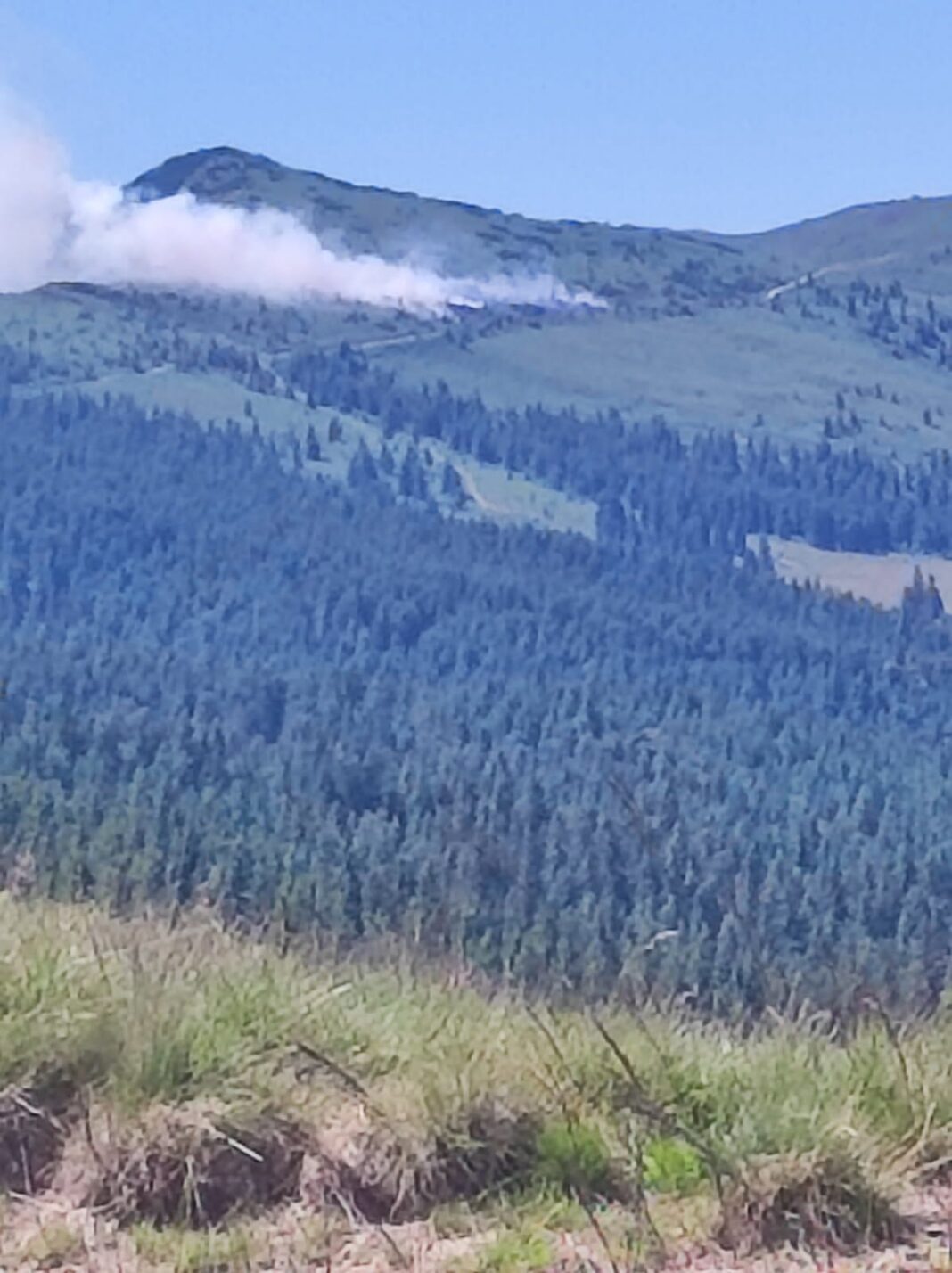 Vâlcea: Incendiu de pădure într-o zonă greu accesibilă de la Câineni